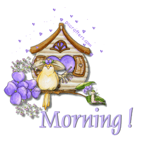 Morning! Morning!