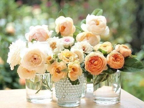 Beautiful flowers in vases