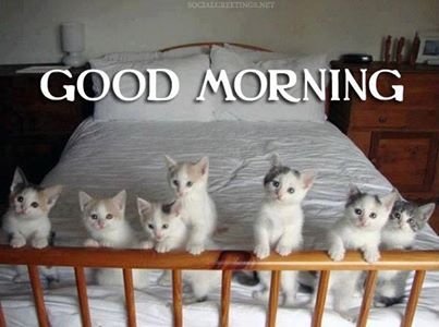 Good Morning