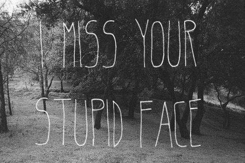 i miss your stupid face i miss your stupid face
