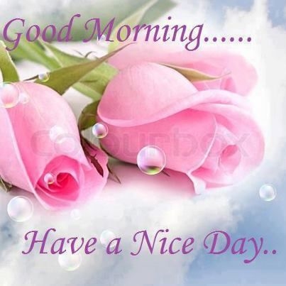 Good Morning