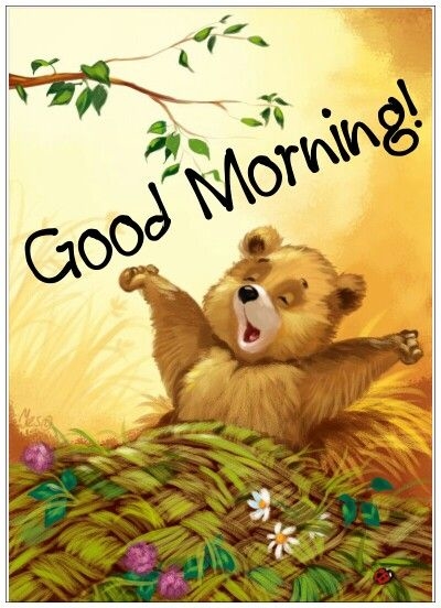 Good Morning Good Morning