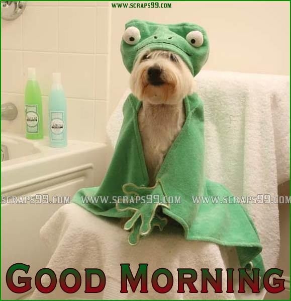 Good Morning