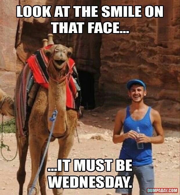 Wednesday Wednesday