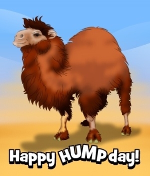 Happy Hump Day Happy Hump Day