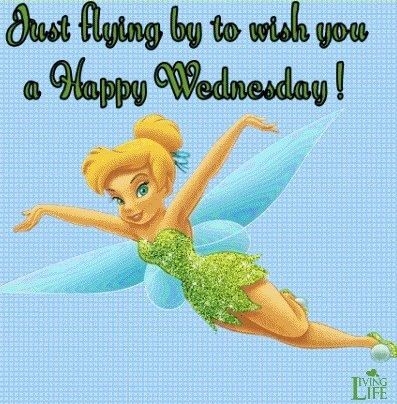 Happy Wednesday Happy Wednesday