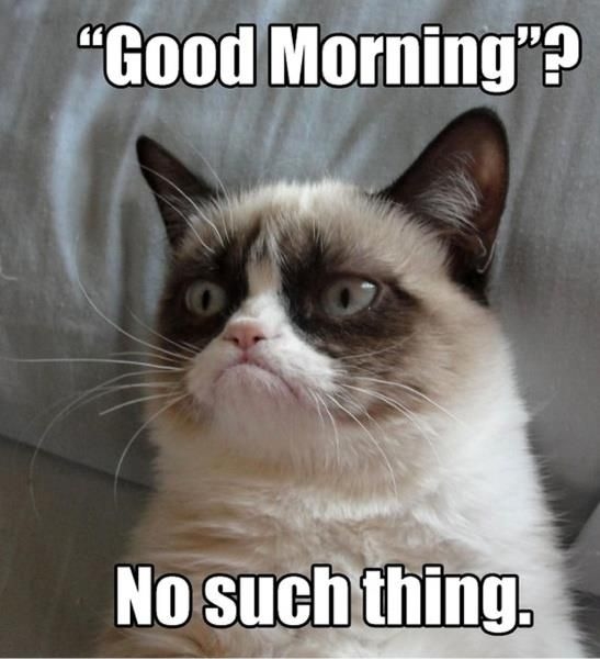 Good Morning