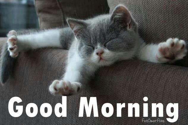 Good Morning Good Morning