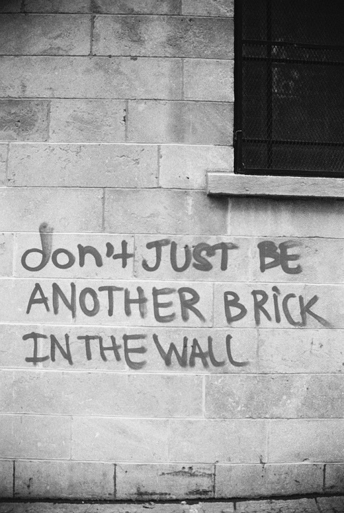 Don't just be another brick in the wall Don't just be another brick in the wall