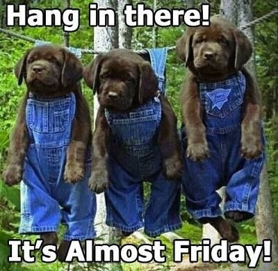 It's almost Friday