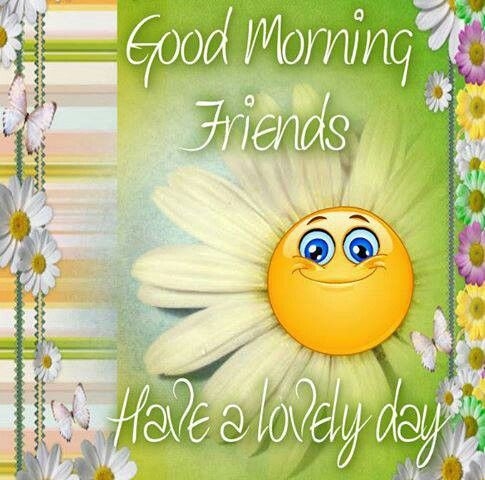 Good Morning Friends