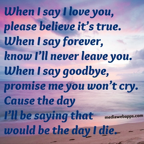 When I say I love you, please believe it's true...
