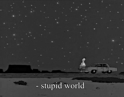 Stupid world Stupid world