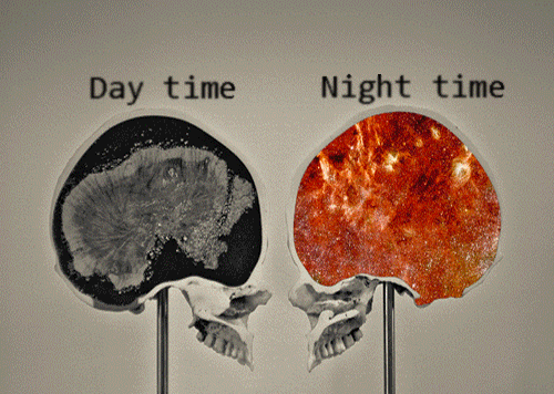 Day time and Night time