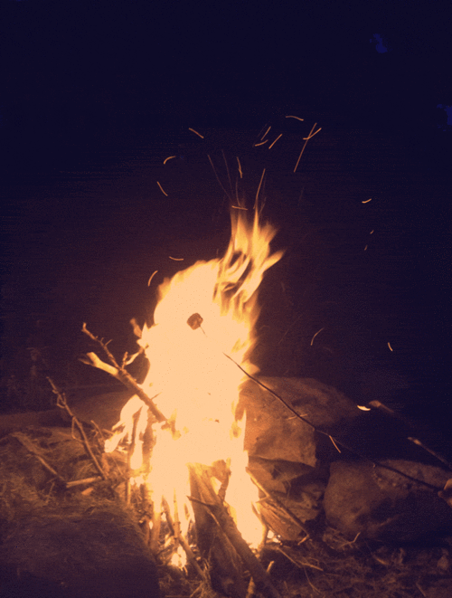 Bonfire and marshmallows