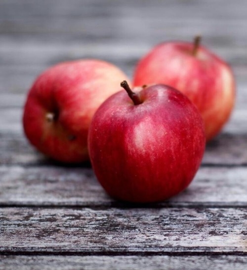 Apples Apples