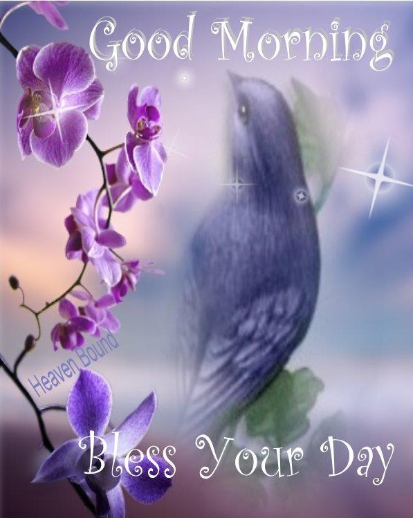 Good Morning