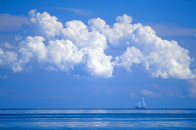 Blue Sailing
