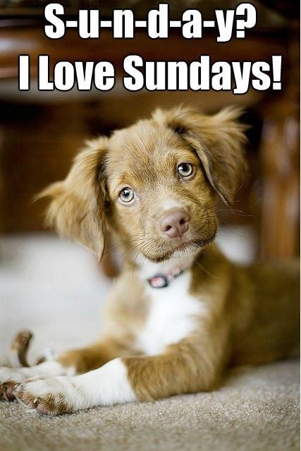 Sunday Sunday