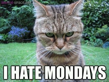 I hate Mondays I hate Mondays
