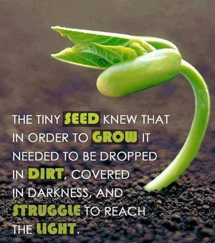 The seed knew