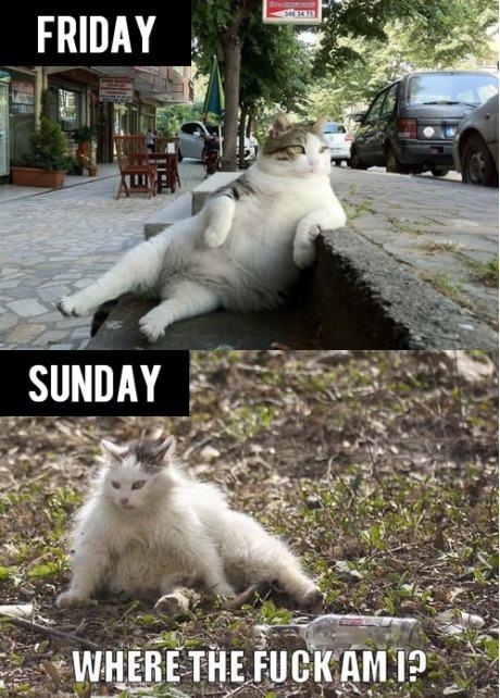 Crazy Weekend Crazy Weekend