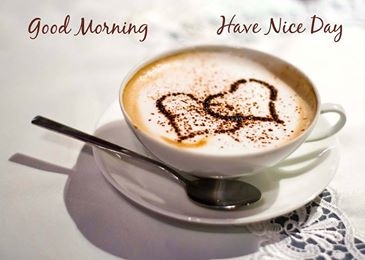 Good Morning Have A Nice Day Good Morning Have A Nice Day