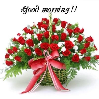 morning morning