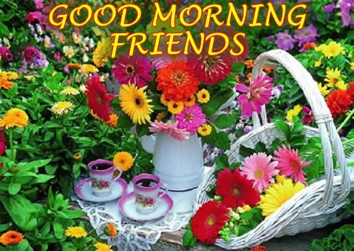 Good Morning Friends Good Morning Friends