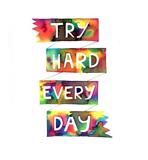 Try hard, everyday Try hard, everyday