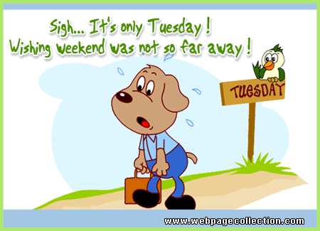 Its only tuesday