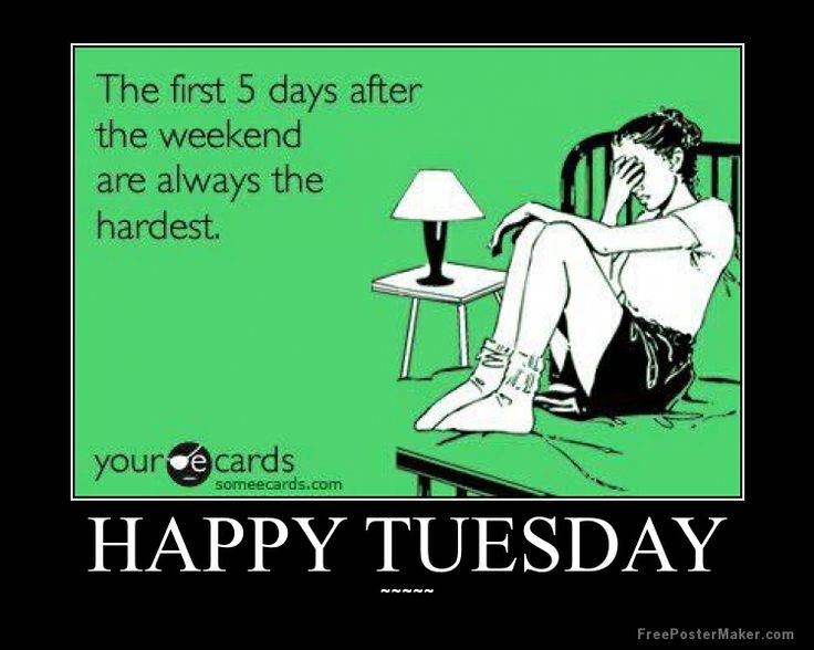 Happy tuesday