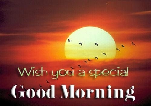 Good Morning Good Morning