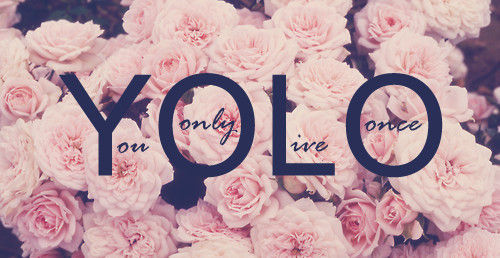 YOLO