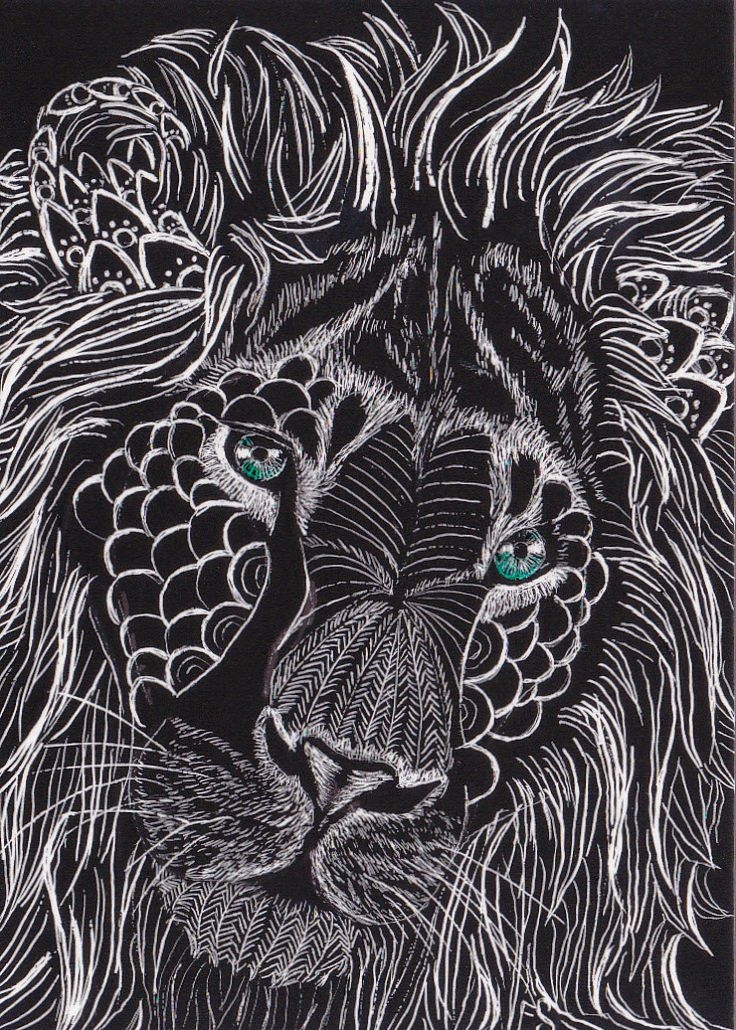 Lion chalk drawing Lion chalk drawing