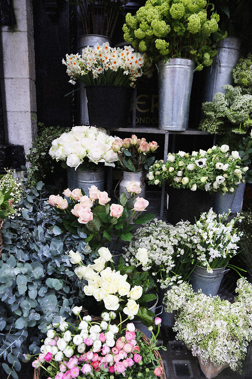 Outdoor flower market Outdoor flower market