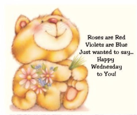 Happy Wednesday To You