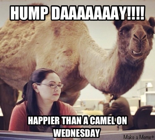 Hump Day