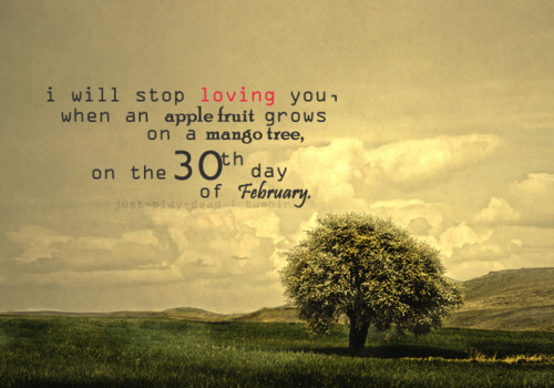 I will stop loving you I will stop loving you