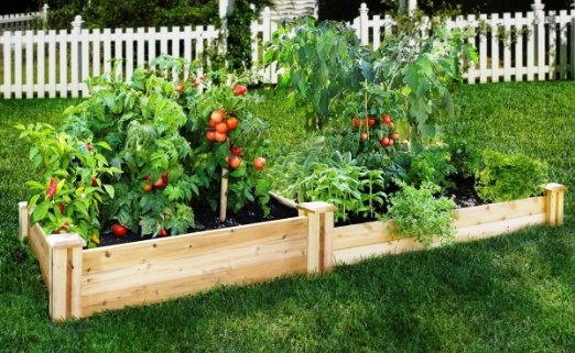 Cedar Raised Garden Bed Kit Cedar Raised Garden Bed Kit