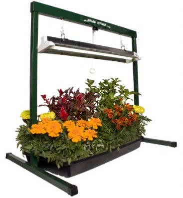 Gardening Starter  Kit with grow light
