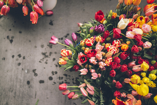 Beautiful tulip display