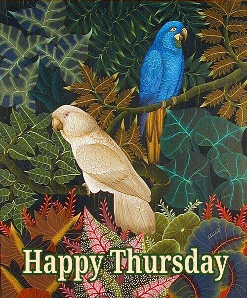 Happy Thursday