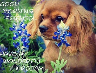 Have a wonderful Thursday