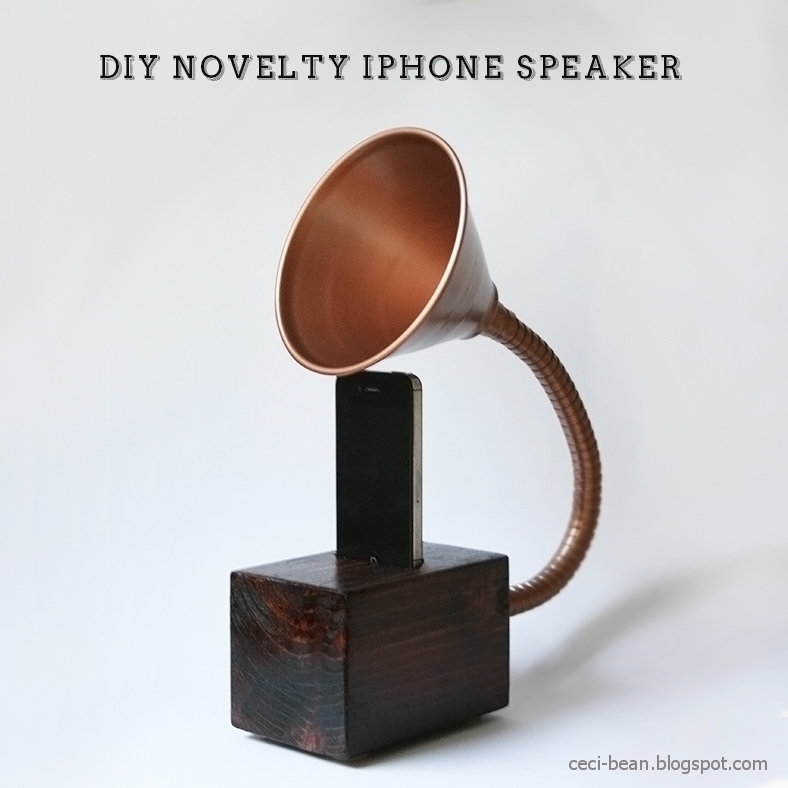 DIY Novelty iPhone Speaker DIY Novelty iPhone Speaker