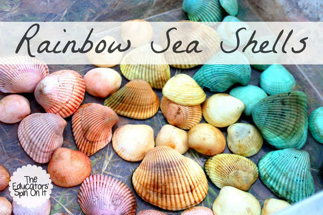 Rainbow sea shells
