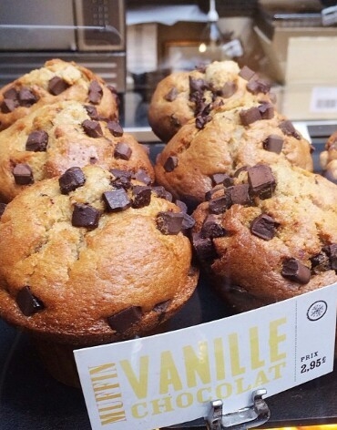 Chocolate muffins Chocolate muffins