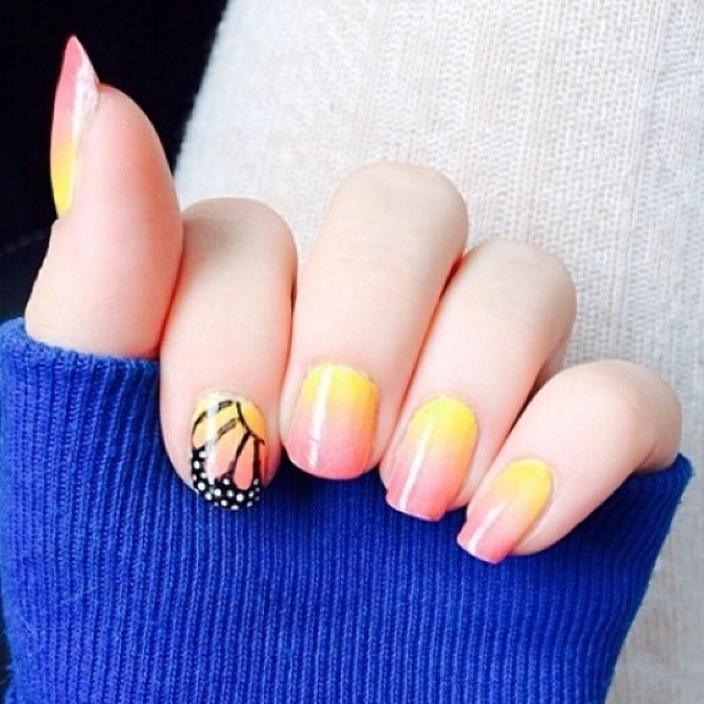 Ombre butterfly wings