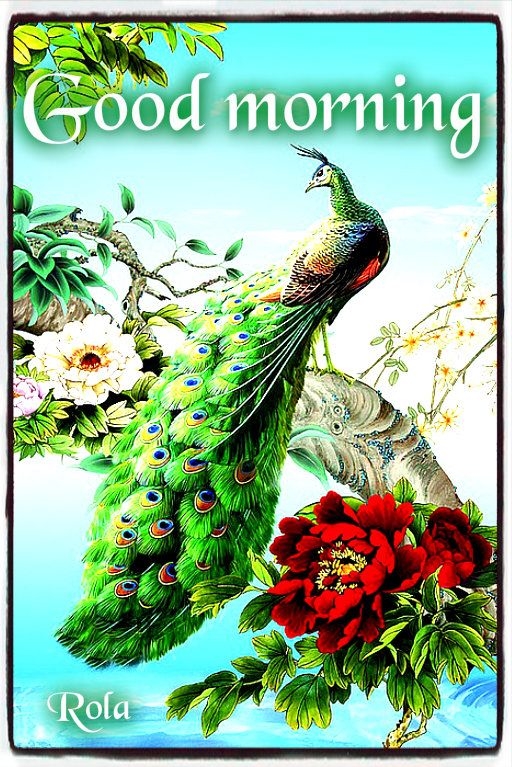 Good Morning