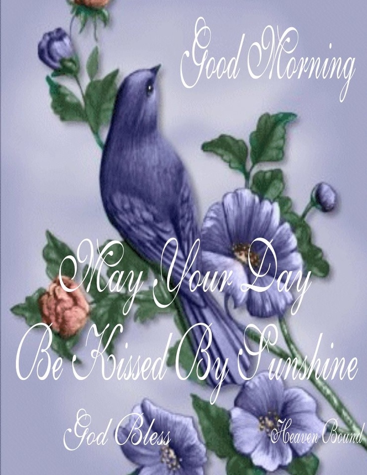 Good Morning